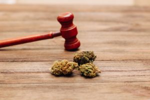 Day 14: Navigating Arizona’s Cannabis Laws: What You Need To Know