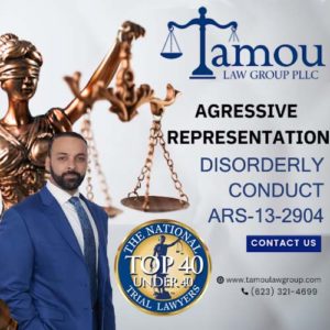 ars disorderly conduct lawyer